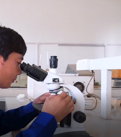 技術過硬的研發(fā)團隊